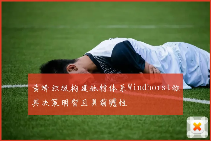 黄蜂积极构建独特体系Windhorst称其决策明智且具前瞻性