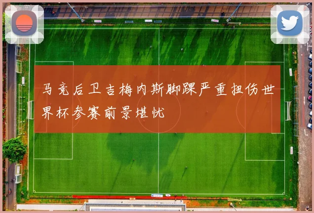马竞后卫吉梅内斯脚踝严重扭伤世界杯参赛前景堪忧